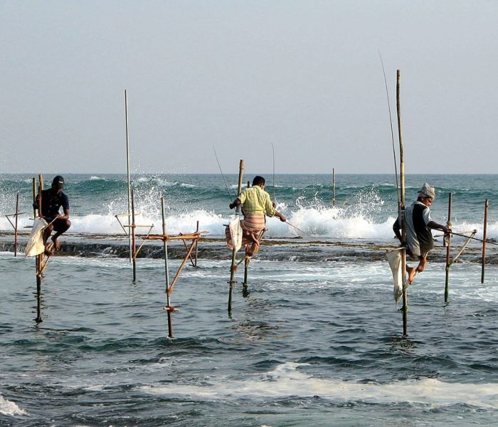 Fishiung wikipedia_Sri_Lanka_02